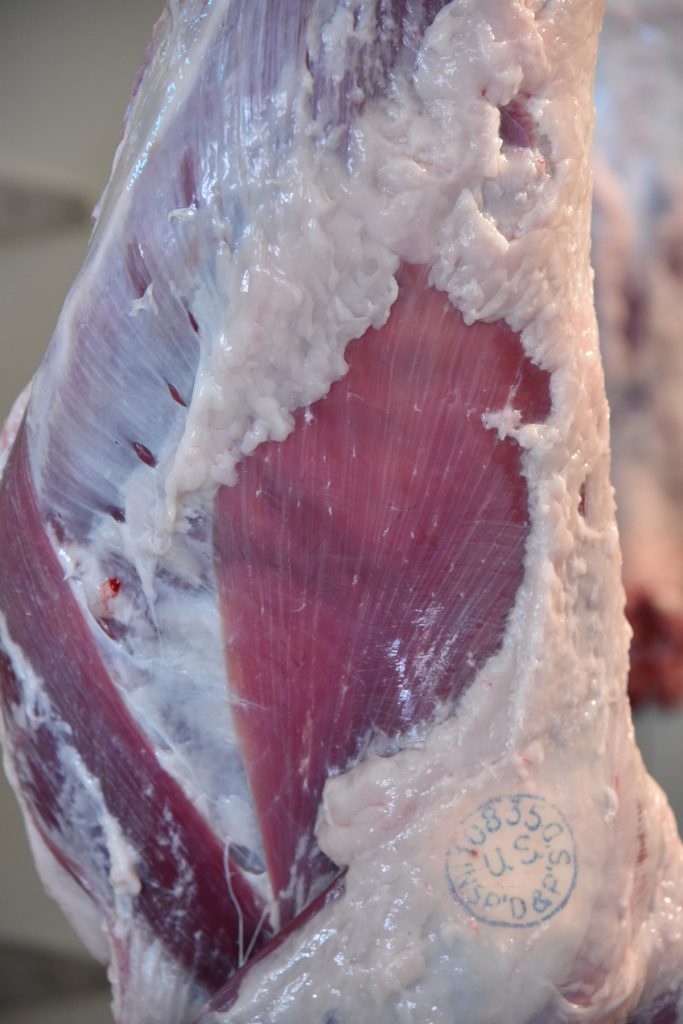 USDA inspected lamb carcass at Sudlersville Meat Locker